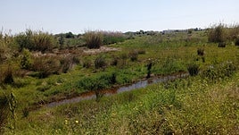 Estado del barranco del Tramusser.