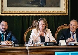 Pleno celebrado la pasada semana.