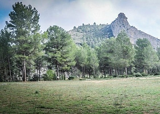 Paraje Natural Municipal de la Cova Negra.