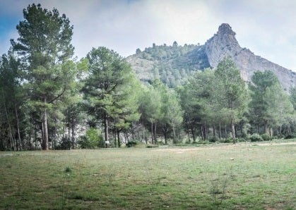 Paraje Natural Municipal de la Cova Negra.