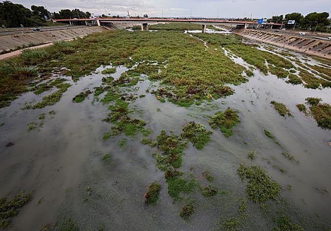 Tramo del nuevo cauce del Turia.