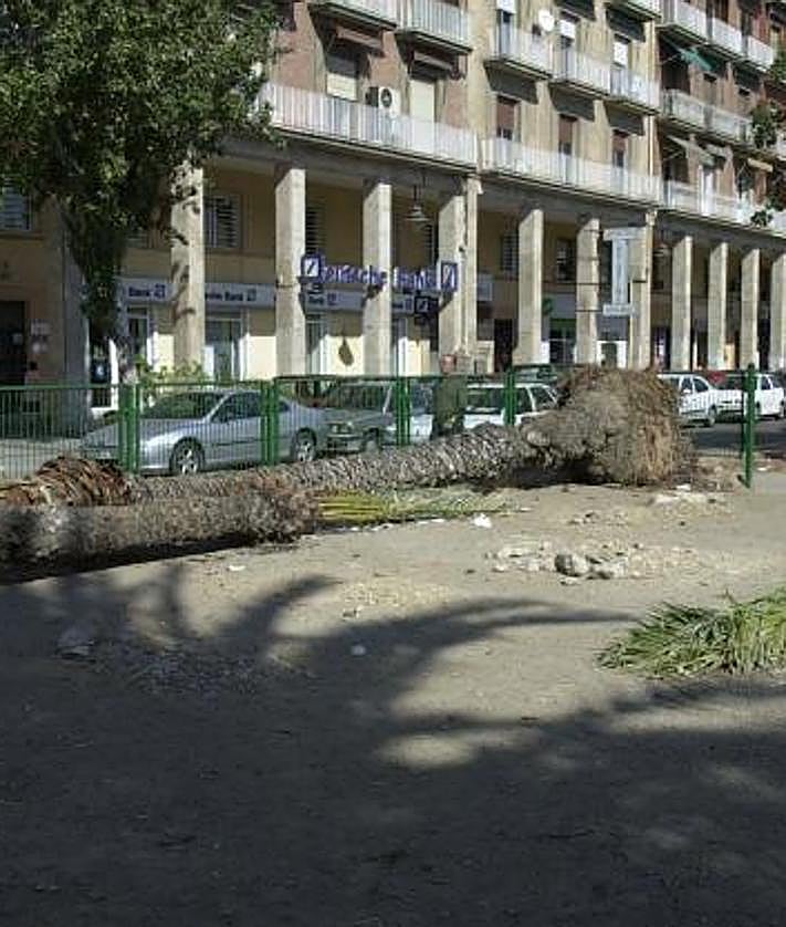 Imagen secundaria 2 - La F-1, visión de la calle y los pórticos.