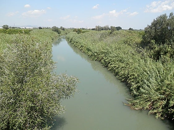 Río Júcar a su paso por Alzira.