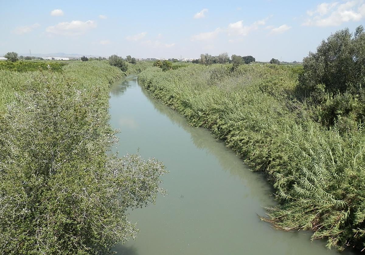 Río Júcar a su paso por Alzira.
