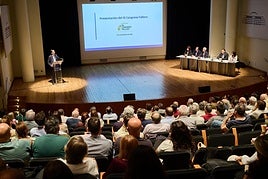 Inicio del IX Congreso Fallero, en el Palau de la Música.