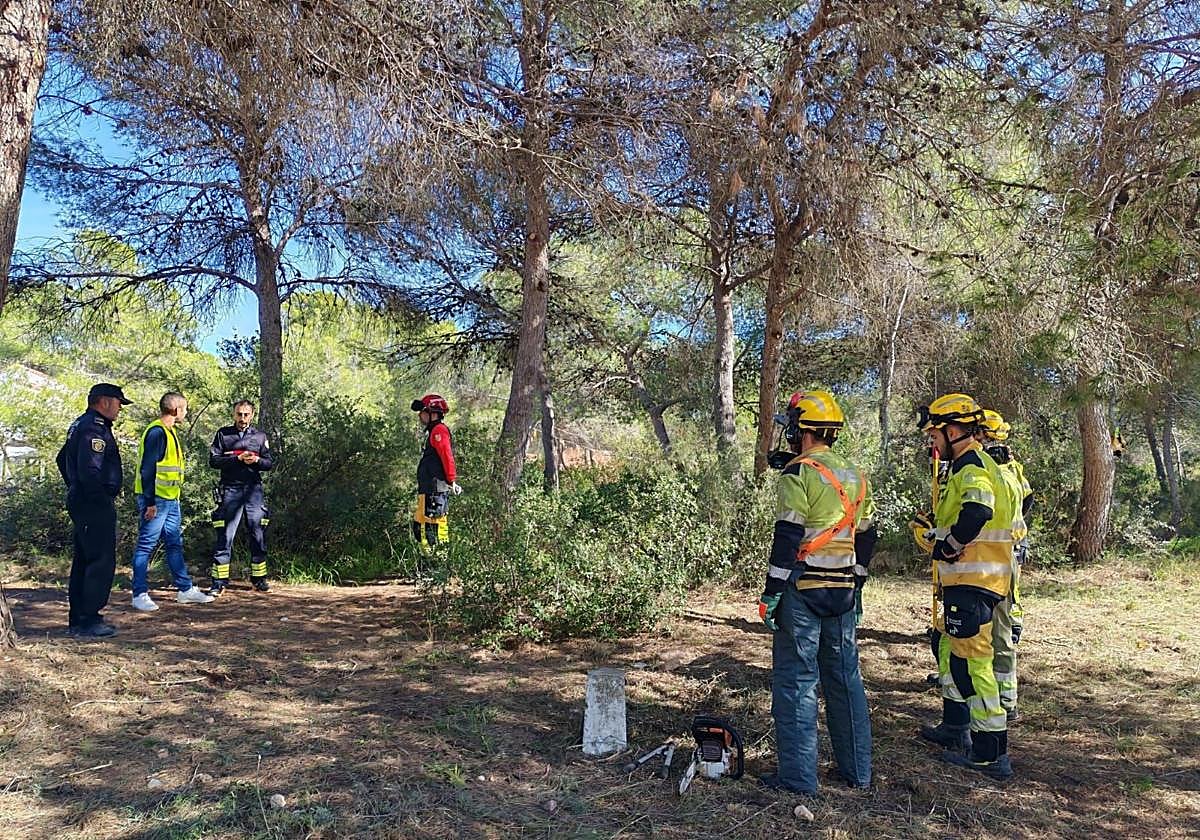 Bomberos participantes en las prácticas en el monte de Vilamarxant.