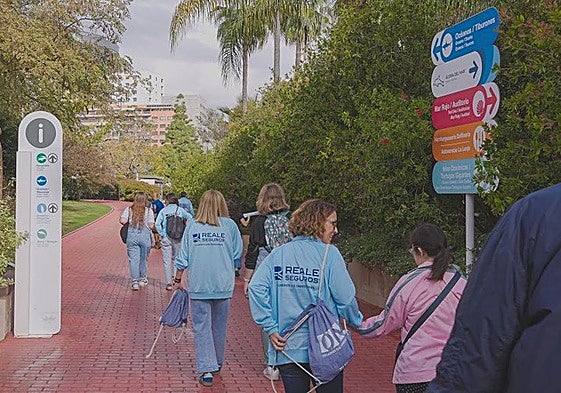 Día Solidario de Reale Seguros