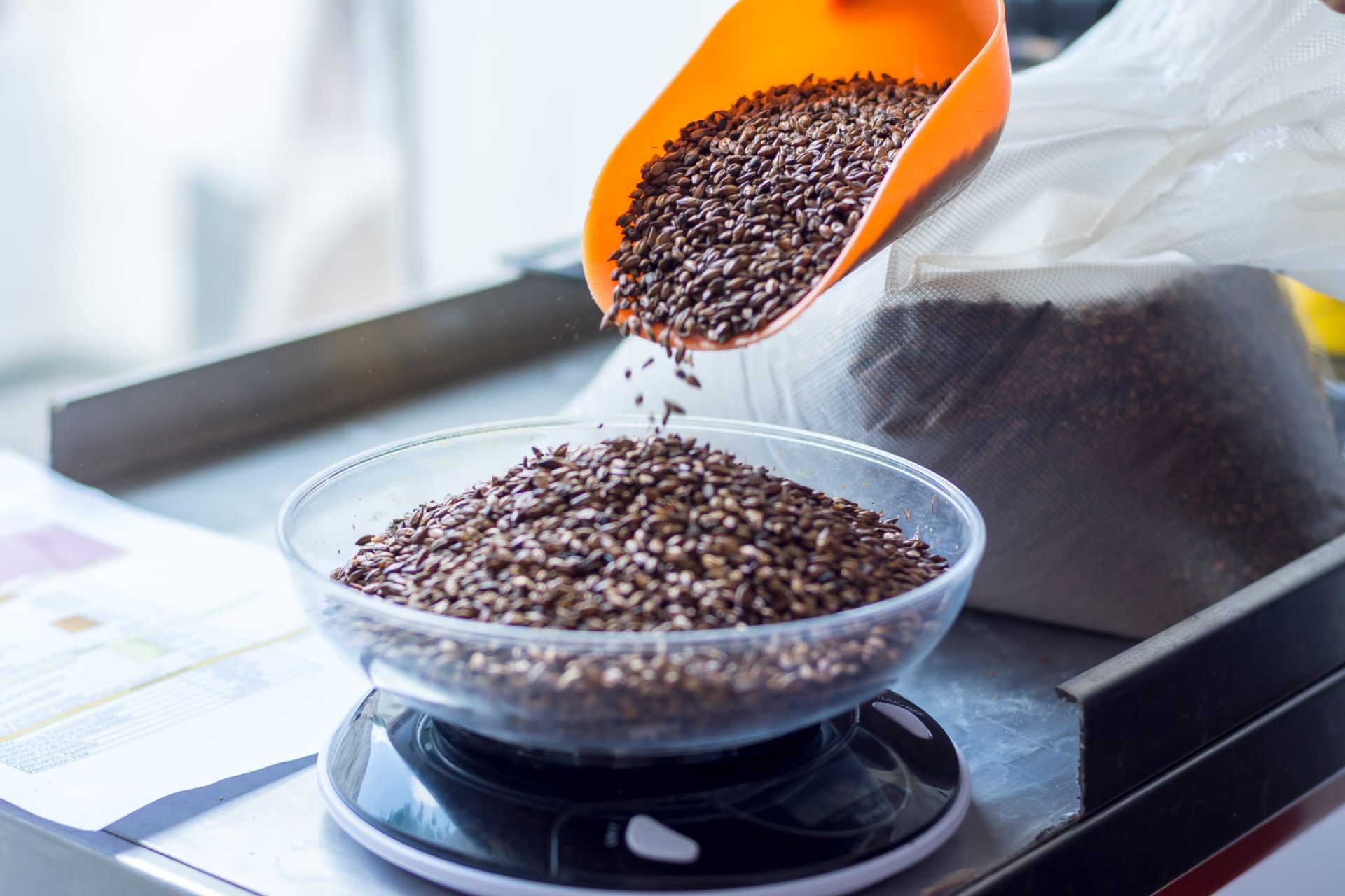 Imagen secundaria 1 - La cerveza artesana con la esencia de la Marina Alta