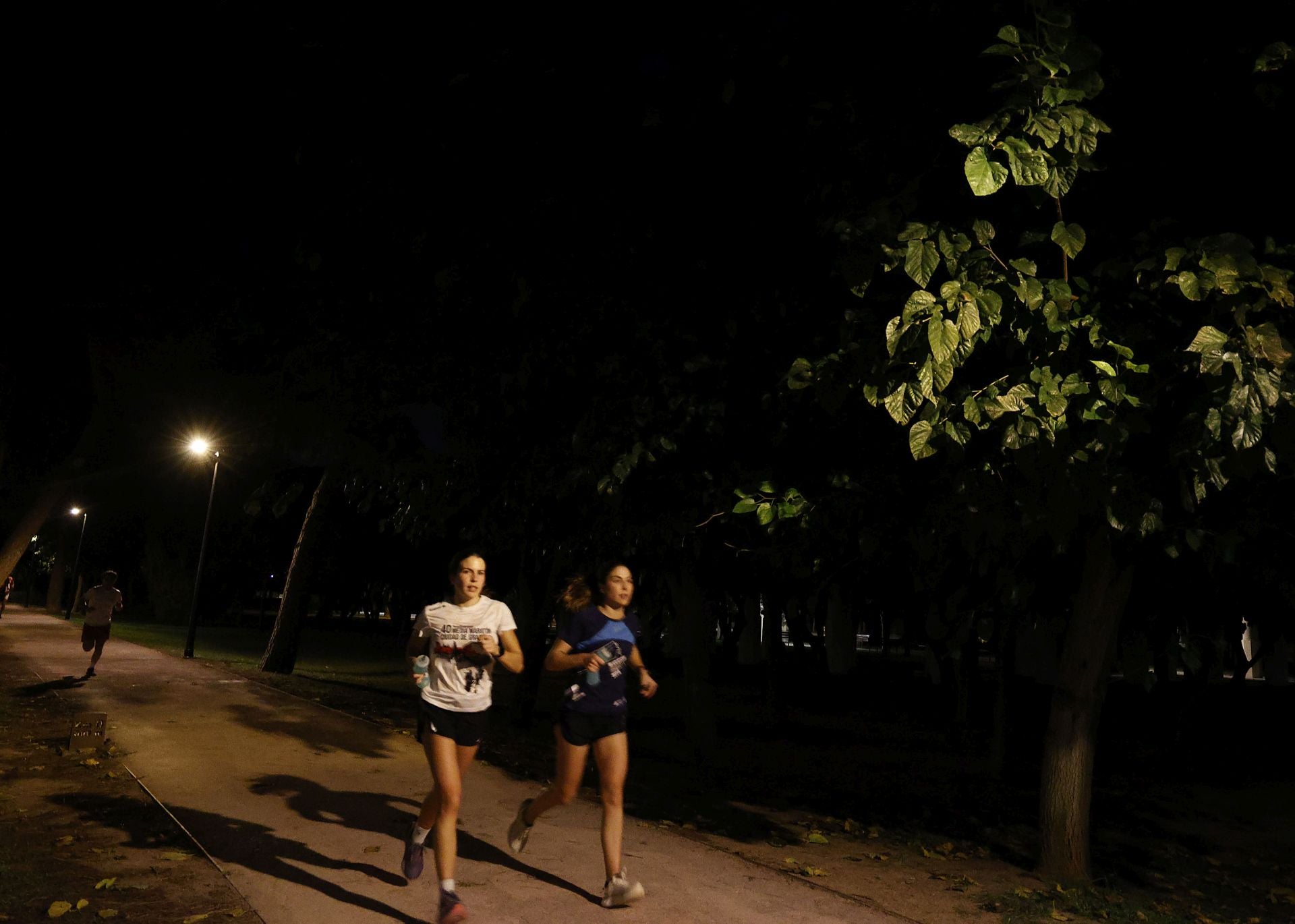 FOTOS | El jardín del Turia de Valencia, a oscuras