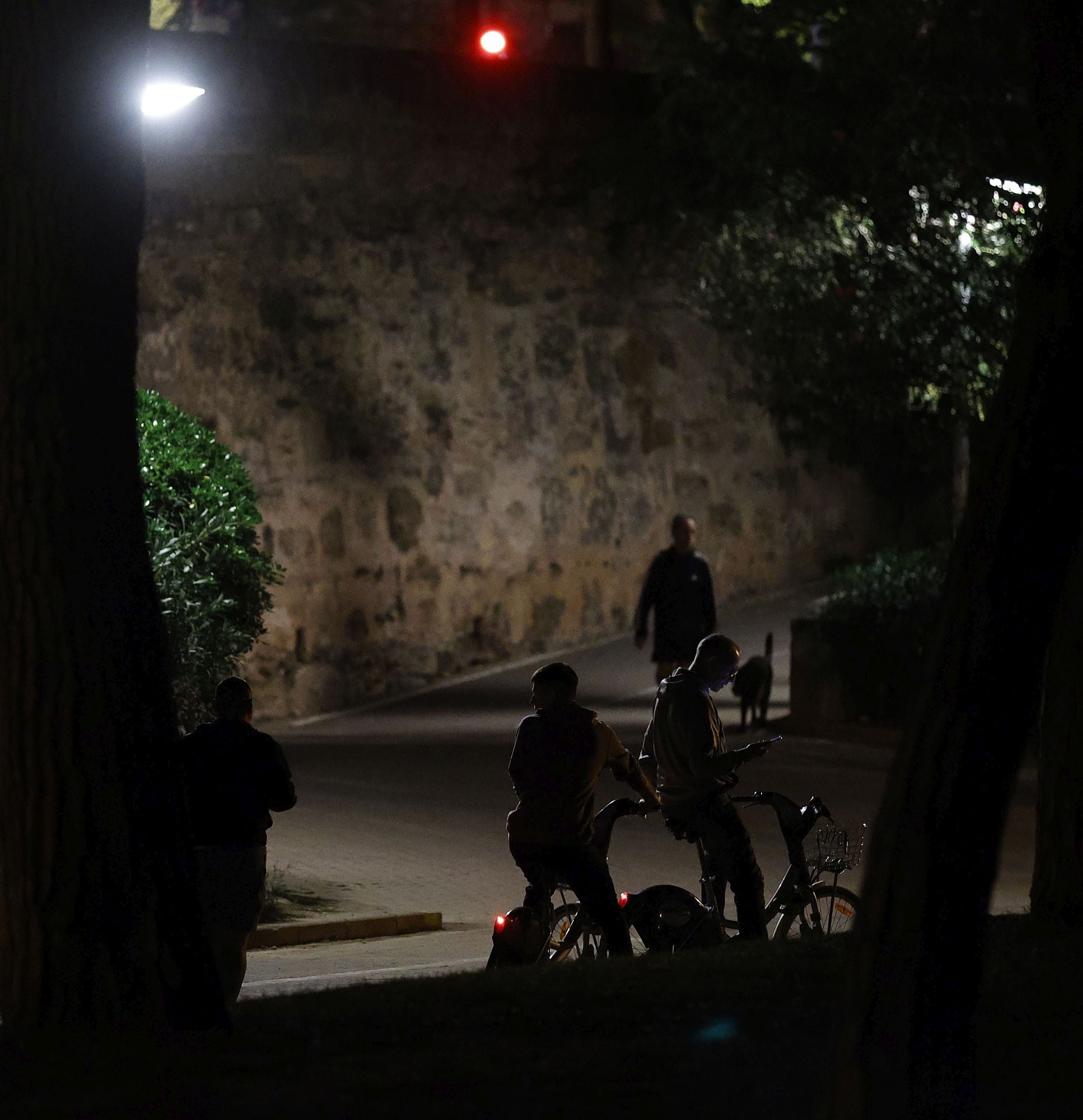 FOTOS | El jardín del Turia de Valencia, a oscuras