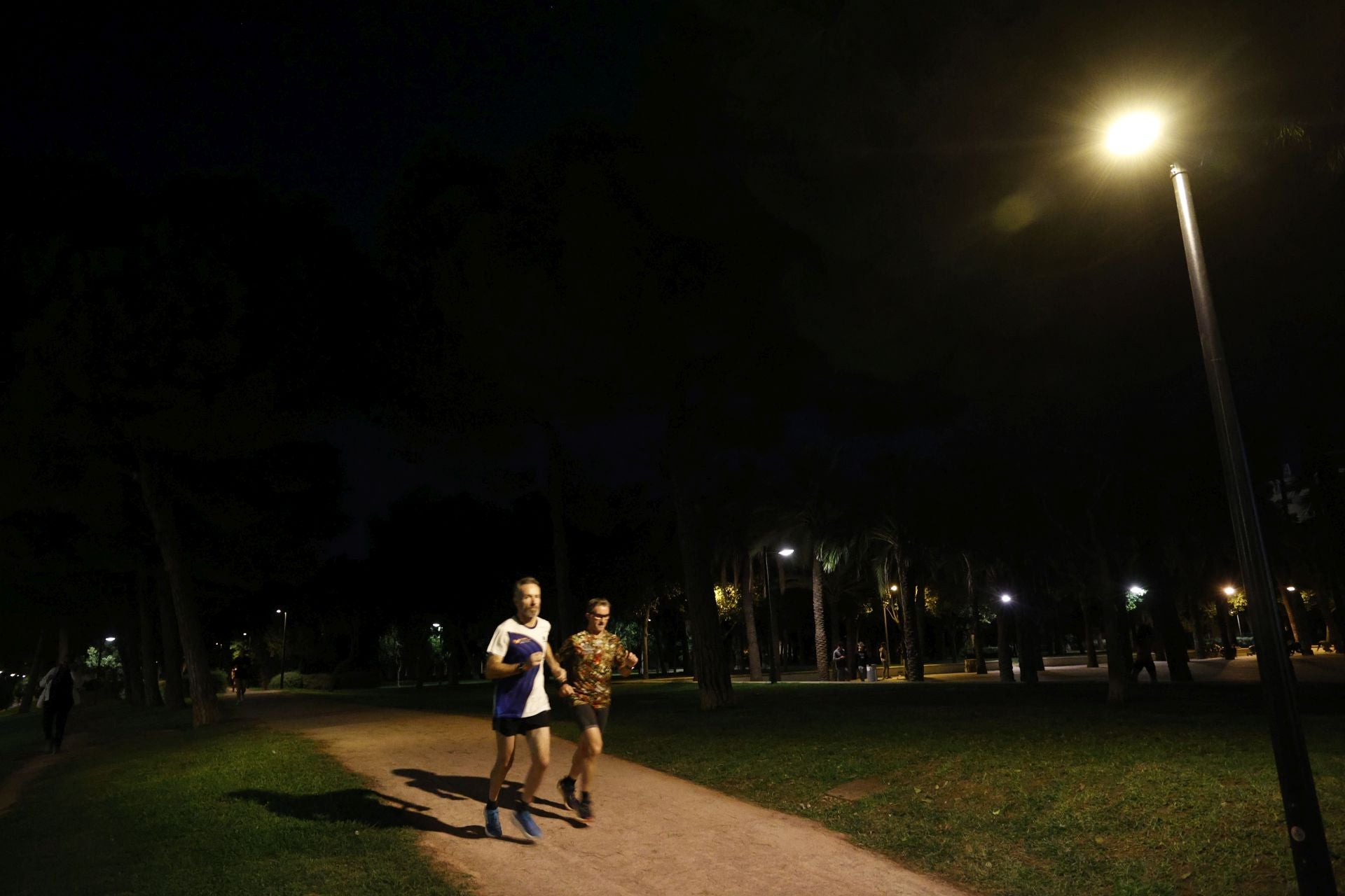 FOTOS | El jardín del Turia de Valencia, a oscuras