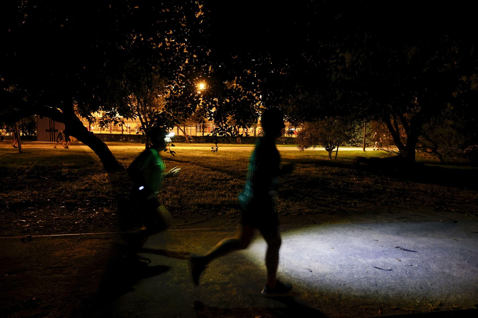 FOTOS | El jardín del Turia de Valencia, a oscuras