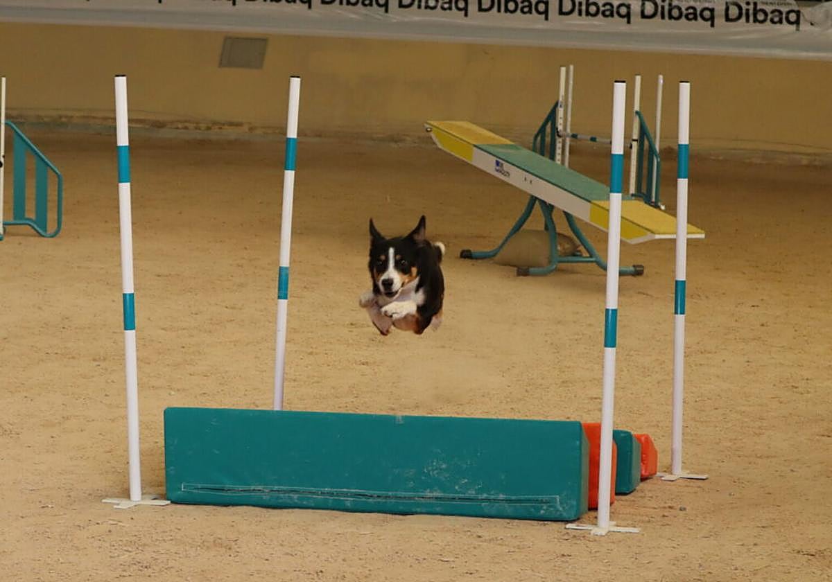 Uno de los participantes en el evento.