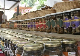 Exposición en la feria artesanal y gastronómica