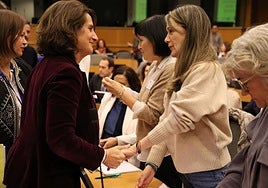 Teresa Ribera saluda a miembros de asociaciones de víctimas de la dana.