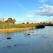 Tramo del río Turia a su paso por Manises.