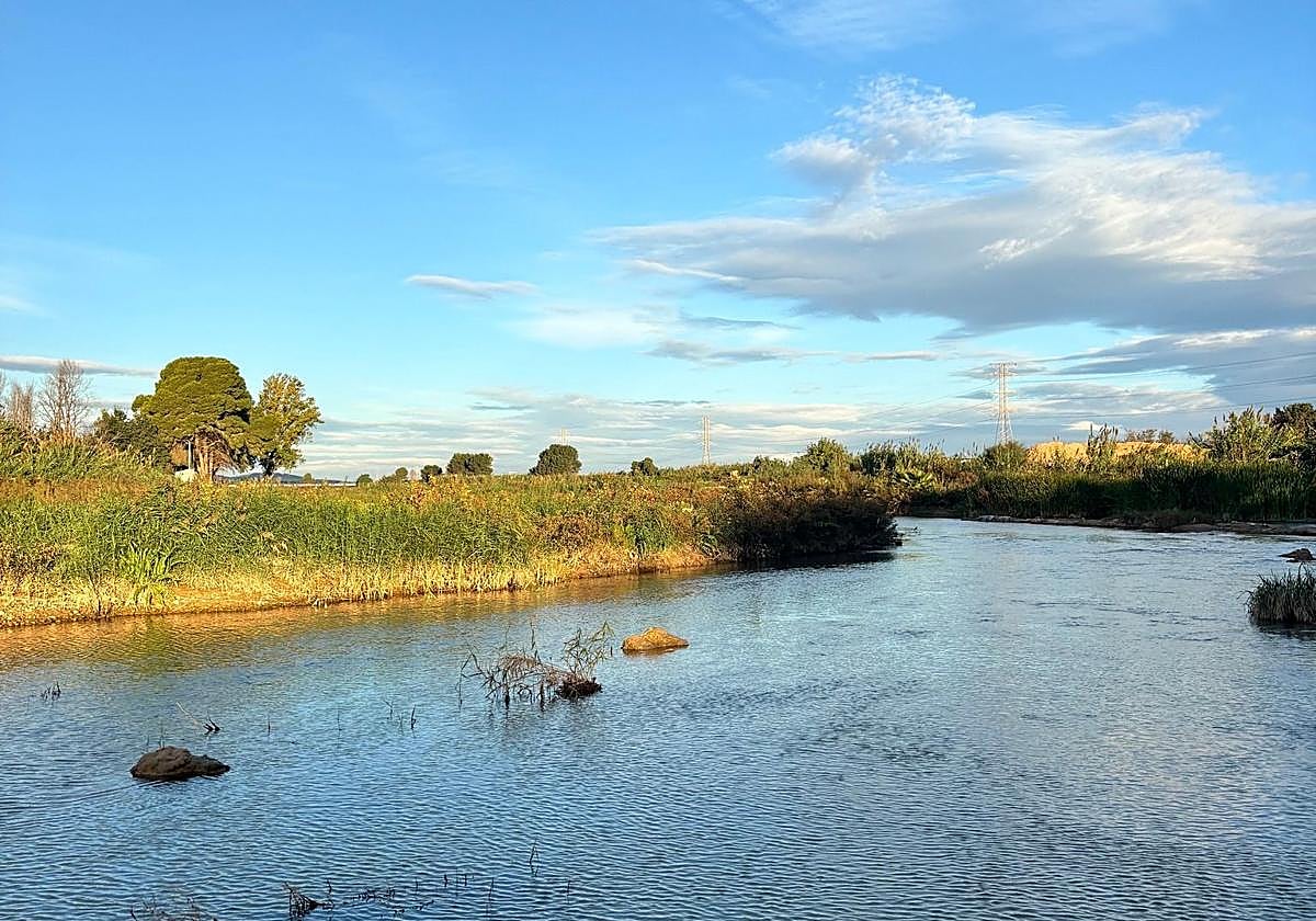 Tramo del río Turia a su paso por Manises.