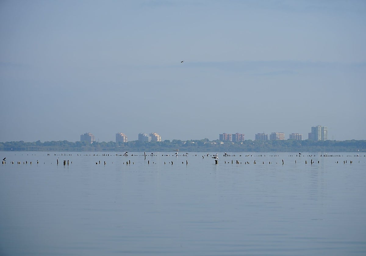 Una vista de la Albufera.
