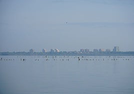 Una vista de la Albufera.