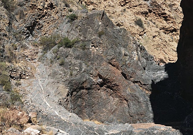 Parte del barrón negro.