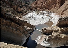 La Rambla Salada, un tesoro por descubrir.