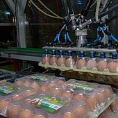 Cajas de huevos de Mercadona.