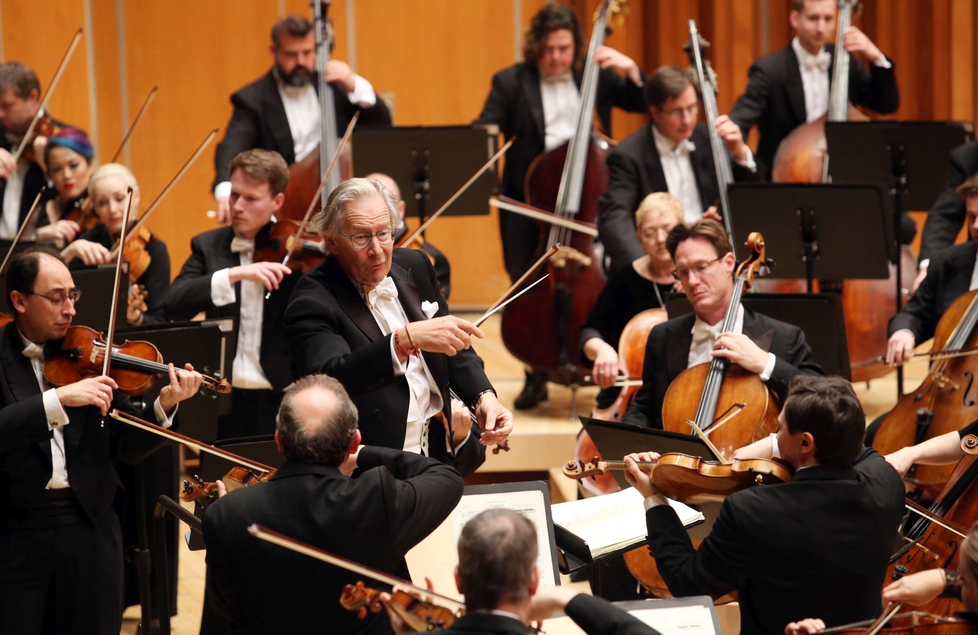 Wolfgang Amadeus Dvorák