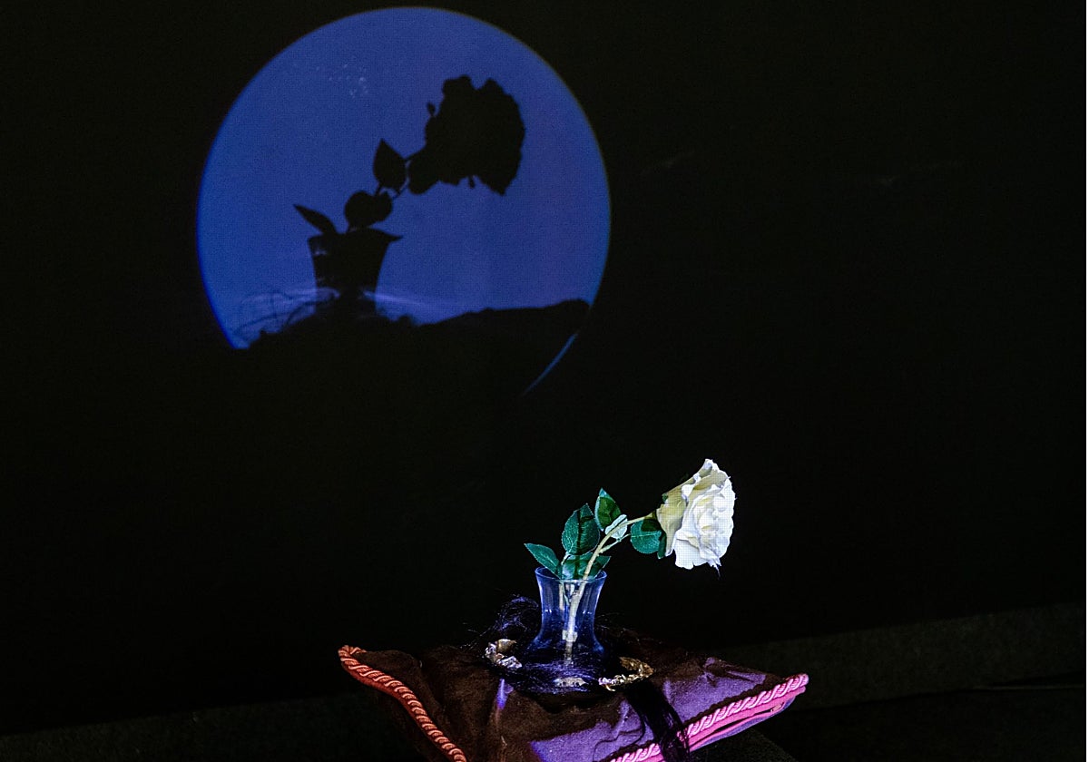 Detalle de la instalación de Bella Báguena.