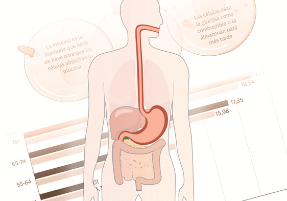 Resistencia a la insulina, la nueva pandemia del siglo