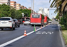 Señalización del nuevo carril bus en la avenida Pío XII de Valencia.