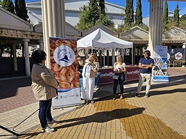 El Ayuntamiento registra la marca «Gamba Blanca de Calp»