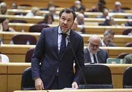 Óscar Puente, durante la sesión de control al Gobierno en el Senado.