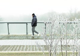 Nevada en una imagen de archivo.