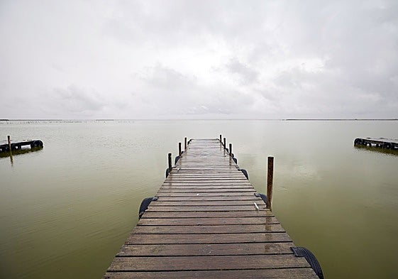 La laguna del parque natural de la Albufera.