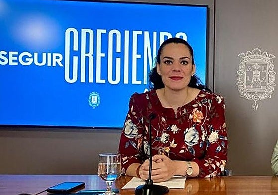 Alicante avisa de que no ha autorizado el evento 'The Japan Vibes' y desaconseja comprar entradas