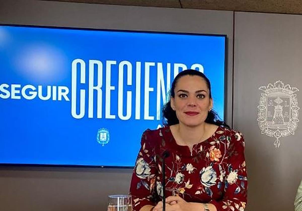 Alicante avisa de que no ha autorizado el evento 'The Japan Vibes' y desaconseja comprar entradas