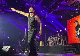 El cantautor Antoñito Molina en su concierto en el Roig Arena