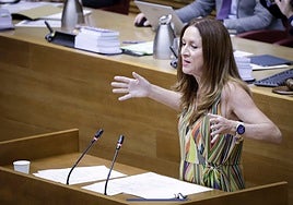 Alicia Andújar, durante una intervención en Les Corts.