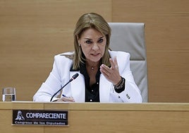 Susana Camarero, en el Congreso.