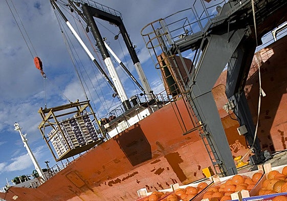 Naranjas de una empresa valenciana.
