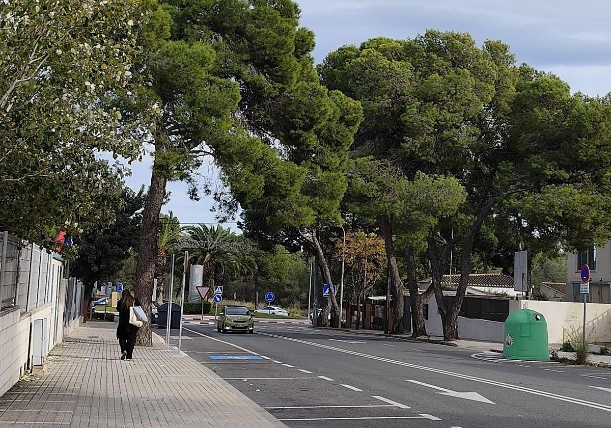 Vecinos de La Canyada recogen firmas para evitar la tala de 52 árboles