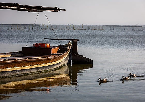 Imagen de archivo de la laguna de la Albufera.