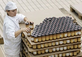 Imagen de archivo de una operaria en una fábrica de alimentación