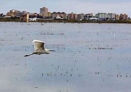 Una vista de la laguna de la Albufera.