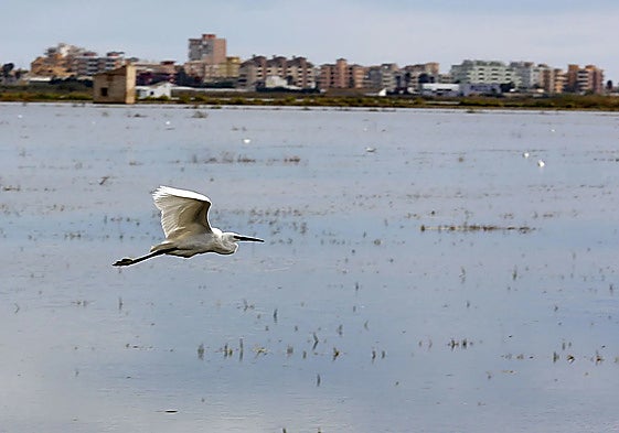 Una vista de la laguna de la Albufera.