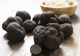 La trufa negra de Teruel.