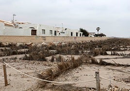 Urbanización Les Gavines de El Saler afectada por deslindes de la Ley de Costas del Gobierno.