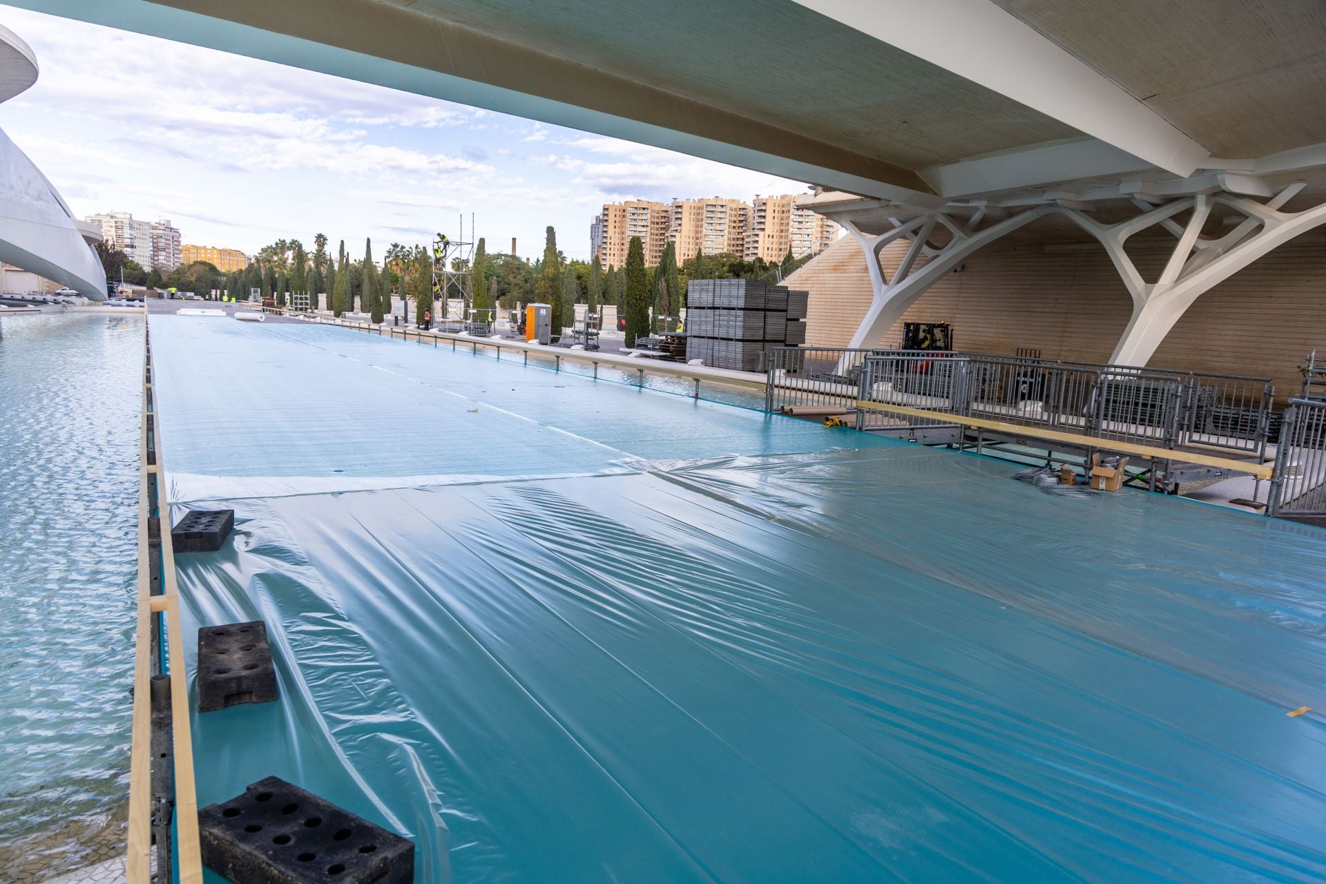 Fotos: Valencia se pone guapa para el Maratón 2025