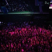 Interior del Roig Arena.