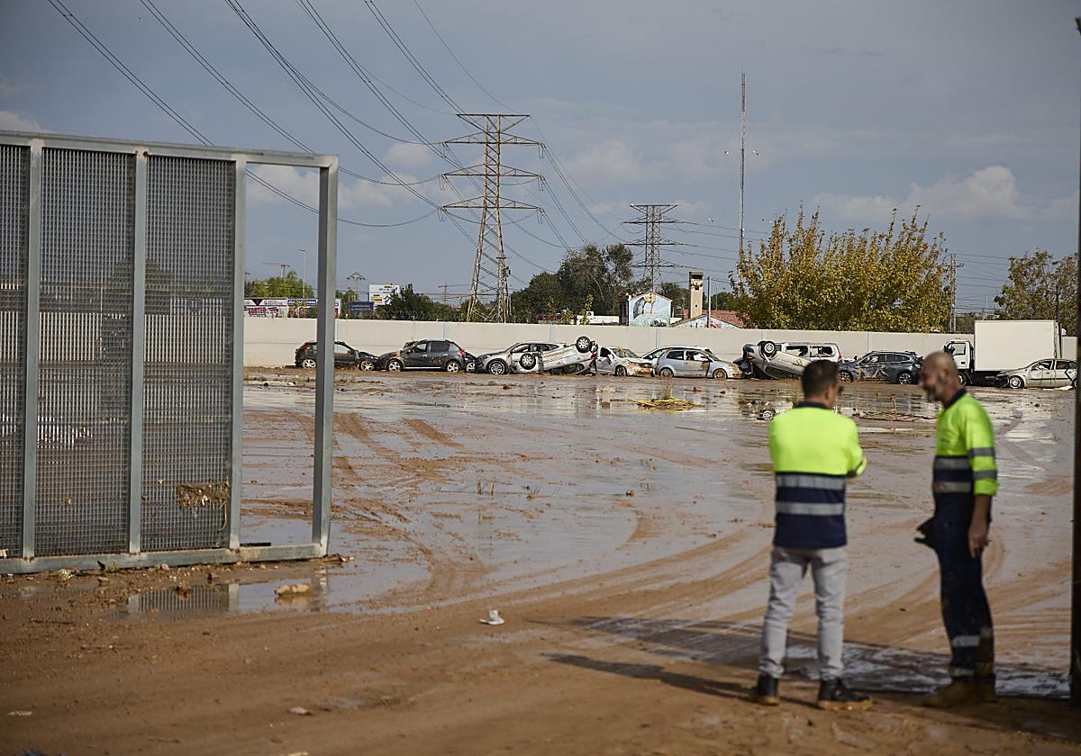 Dos trabajadores vigilan un solar con coches siniestrados por la dana.